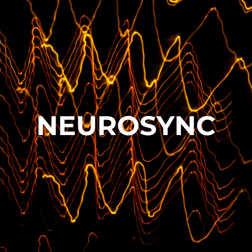 NeuroSync Premium - Image 2